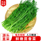 卫青沙窝新鲜山东茴香菜 茴香苗 饺子馅料 叶菜类蔬菜 2斤装（尝鲜试吃）