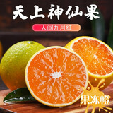 秭橙贡【京东快递-现摘现发】湖北秭归九月红5斤果冻橙甜橙应季新鲜水果 大果70mm以上果径12个左右 净重5斤京东快递