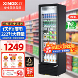 星星（XINGX）展示柜冷藏保鲜柜饮料柜商用一级能效单门立式冰柜冰箱风冷直冷超市便利店陈列柜蔬菜水果啤酒酒水 直冷省电 1级能效222升  LSC-230YPE