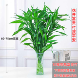 绿有意富贵竹水培植物转运竹花卉绿植室内盆栽绿水养带根鲜花发萝财 含瓶65-70cm10棵+玻璃瓶+营养液 不含盆