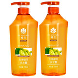 蜂花 生姜健发洗发水（男女士去油 含啤酒花） 洗发露750ml*2瓶