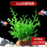 疯狂水草（FKSC）真水草鱼缸造景套餐净化水质懒人鱼缸水草植物直接入缸蜈蚣草 鹿角藓【火山石底座】