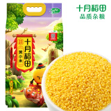 十月稻田 黄小米 溯源  2.5kg（小黄米 小米粥 五谷杂粮 粥米 ）