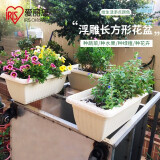 爱丽思 长方形种菜盆家用室内阳台大号花盆蔬菜种植箱室外塑料栽菜盆 550浅米色