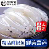 太湖海【顺丰】太湖三白银鱼干 新鲜面条鱼 太湖特产淡水产干货年货送礼 鲜冻银鱼（400g)