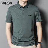 爱登堡Edenbo短袖T恤男冰丝商务休闲翻领POLO男绿色升级190/104A(4XL)