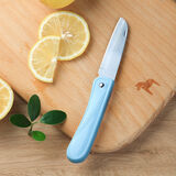 小天籁 多功能折叠水果刀家用便携随身宿舍学生刀子迷你水果小刀瓜果刀 蓝色(折叠水果刀) 1把装
