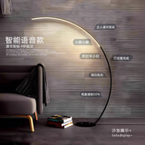 优丽美家落地灯钓鱼灯极简北欧设计师创意曲线客厅沙发旁简约现代卧室装饰 黑色【智能语音+遥控】 三色调光