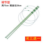 火有水爬藤架子花支架月季花架植物室内花卉支撑杆园艺铁线莲爬藤支架杆 调节款75cm高(三杆三圈/圈28CM) 中等