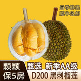 松筱马来西亚猫山王榴莲D197冷冻液氮新鲜水果顺丰快递礼盒装 黑 刺榴莲D200 4.1-4.6斤4-5房 【人工精选+包熟包甜包房】