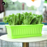 九千谷种菜盆种植盆蔬菜盆绿色1个装 长方形种花盆 49*20cm 带托盘3675