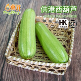 東昇供港西葫芦500g 云南小瓜 茭瓜白瓜角瓜 广州新鲜配送