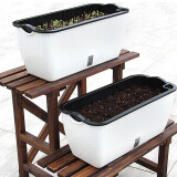 奥美优 种菜盆长方形种植箱塑料加厚自动吸水花盆种菜箱蔬菜种植盆 大号