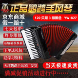鹦鹉（YINGWU）鹦鹉键盘手风琴三四排簧老字号手风琴初学入门演奏厂家直接发货 120贝斯3排簧黑色