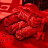 翠涛红绳 结婚捆绑被子女方嫁妆绑带捆带红色粗绳子16m