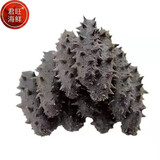 君旺海鲜 半干辽刺参大连盐渍海参拉缸盐长海县生鲜水产干货非即食家庭装 20头左右/500g