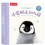 【满72减7】亲亲宝贝晚安绘本:小企鹅上幼儿园 2-4岁乐乐趣儿童成长故事书