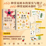 落叶观察手册果实种子观察手册  树木研究者的入门参考书260种常见且具特征性的落叶 1500幅彩色照片 落叶收藏爱好者的工具书北京时代华文书局 果实种子观察手册+落叶观察手册