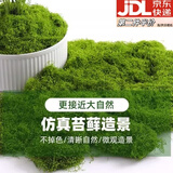 靓做仿真丝状苔藓绿色微景观布置假草坪鱼缸造景假山石头盆景造景铺面 丝状苔藓深绿色【50g】