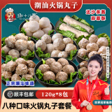 趣十八番潮汕火锅丸子套餐手打牛肉丸牛筋丸墨鱼丸烧烤食材麻辣烫火锅丸料 火锅丸子套餐一  8种120g丸子