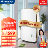 格力（GREE）家用除湿机全屋干爽防霉除湿器辅助干衣轻音低噪吸湿机卧室书房智能除潮湿机客厅抽湿机祛湿吸湿器 20L/天 20-40㎡ DH20EH