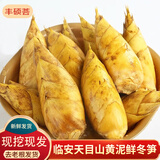京地达正宗临安天目山现挖新鲜冬笋5斤装单果4-8两笋子竹笋新鲜源头直发