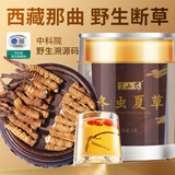 半山农【野生】冬虫夏草断草3克 西藏那曲虫草 送长辈父母送长辈滋补品