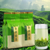 拾茗集山东日照巨峰绿茶2024年新茶自产自销浓香散装春茶500g