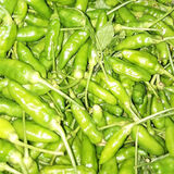 新鲜广西野山椒指天椒特辣小米椒朝天椒泡椒剁椒辣椒 2斤装 1kg