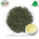 崂茗（laoming）新茶崂山绿茶500g浓香云雾毛尖山东青岛特产茶叶散装豆香茶