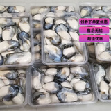 现剥鲜活生蚝肉海蛎子牡蛎肉生鲜海产品生蚝肉潮汕 3斤3包