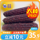 金沃瑞丰精品有机 黑糯玉米棒260g*8支＞5斤 新鲜甜粘黏 粗粮自营早餐