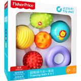 费雪（Fisher-Price） 玩具球六合一 宝宝初级训练球手抓弹力球幼儿童按摩球0-2岁F0930