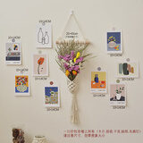 丹斯提尼ins干花墙贴墙面装饰手工编织墙上挂件客厅卧室壁挂壁饰卡片墙饰 勿忘我网兜干花组合