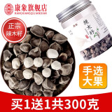 康象 辣木籽大颗粒300克（150g*2罐）正宗新鲜颗粒饱满果仁辣木子茶的功效与作用