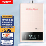斯科邦（SIKEBANG）法国品牌强排式燃气热水器 家用智能变频恒温 经济节能 12L R05铂金色 豪华款变频恒温+上门安装 管道天然气