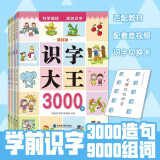 识字大王3000字全套4册 学前幼儿识字学前班教材幼小衔接3-6岁 幼儿园学龄前儿童看图认字书 学前教育