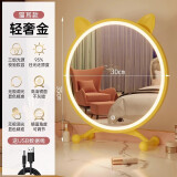飞旺藤达化妆镜台式led带灯桌面学生宿舍ins卧室灯补光梳妆台圆镜全身镜 【猫耳三色光】金【可调节角度】 【40cm*45cm】高清成像破损必赔