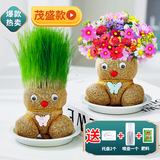绿有意六一儿童节草头娃娃头上长草娃娃人盆栽种植浇水长头发种草幼儿园 开花+长草】娃娃2个+液+喷壶