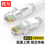 胜为（shengwei）超5类百兆网线 成品网络跳线 高速宽带线网线 彩色纯无氧铜网线 白色5米 LC-2050H