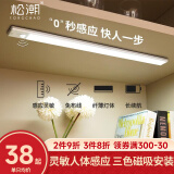松潮橱柜灯人体感应灯带LED小夜灯卧室衣柜厨卫磁吸充电玄关灯氛围灯 三色切换款 升级按钮款30cm+感应+光敏+调光
