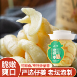 云山半泡仔姜1斤装嫩姜芽泡菜即食泡姜嫩姜下饭腌酱菜咸菜佐餐炒菜500g