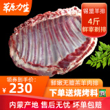 【配炖肉料】斗牧 内蒙古羊排4斤生鲜羊肉新鲜冷冻羔羊排骨切块塑封锡盟整排原切烤羊排火锅食材