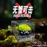 丘辰无蟹可击苔藓微景观生态瓶DIY办公室内桌面小盆栽绿植螃蟹缸礼物 无蟹可击（螃蟹缸）