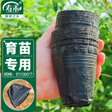 寿禾 育苗钵种植盆农用营养钵种菜工具 育苗钵约1000个