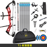 顶点 2023款顶点新T1复合滑轮弓箭套装户外渔乐竞技射准弓 射箭器材 新T1 射准套装