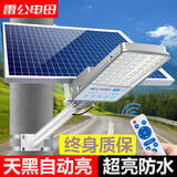雷公电母 太阳能照明灯路灯庭院灯户外防水家用超亮新农村LED大功率射灯 35000W工程丨进口灯芯丨照350平