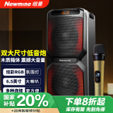 纽曼（Newmine）A2蓝牙音箱大功率音响户外广场舞音响家用商超双6.5英寸喇叭低音炮音响乐器音响 带话筒 麦克风