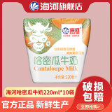 海河牛奶早餐奶天津海河网红风味奶日期新鲜可批发袋装奶 海河牛奶哈密瓜味220ml*10包