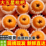 朵芮蜜现摘四川高山大枇杷鲜果米易甜琵琶当季孕妇时令新鲜孕妇树熟水果 3斤单果30g-40g顺丰送货上门